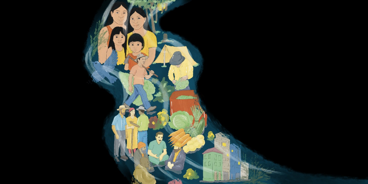 Território, Comunidades e Determinantes Sociais